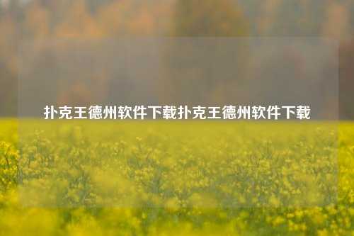 扑克王德州软件下载扑克王德州软件下载