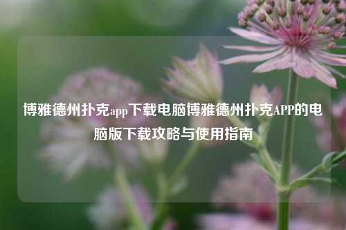 博雅德州扑克app下载电脑博雅德州扑克APP的电脑版下载攻略与使用指南