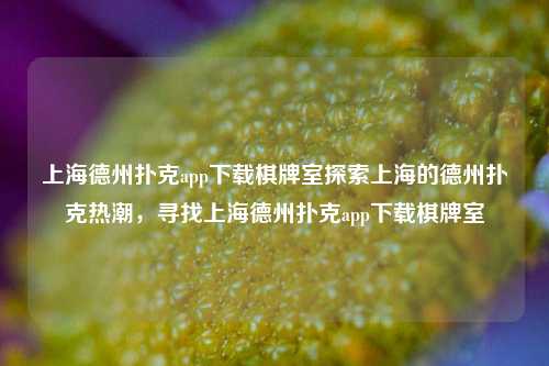 上海德州扑克app下载棋牌室探索上海的德州扑克热潮，寻找上海德州扑克app下载棋牌室