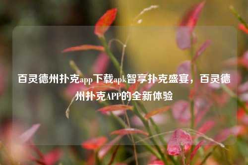百灵德州扑克app下载apk智享扑克盛宴，百灵德州扑克APP的全新体验
