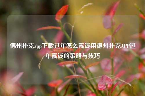德州扑克app下载过年怎么赢钱用德州扑克APP过年赢钱的策略与技巧