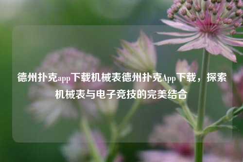 德州扑克app下载机械表德州扑克App下载，探索机械表与电子竞技的完美结合