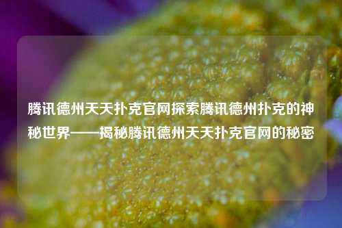 腾讯德州天天扑克官网探索腾讯德州扑克的神秘世界——揭秘腾讯德州天天扑克官网的秘密