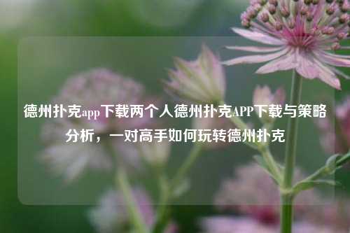德州扑克app下载两个人德州扑克APP下载与策略分析，一对高手如何玩转德州扑克