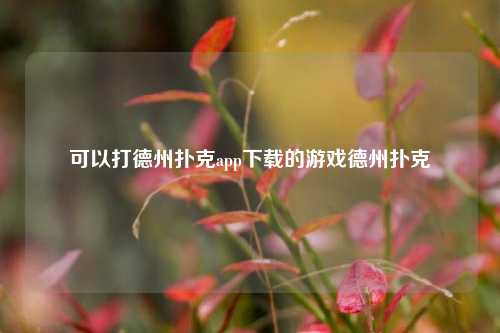可以打德州扑克app下载的游戏德州扑克