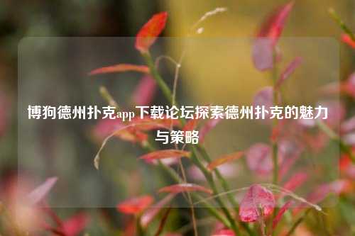博狗德州扑克app下载论坛探索德州扑克的魅力与策略