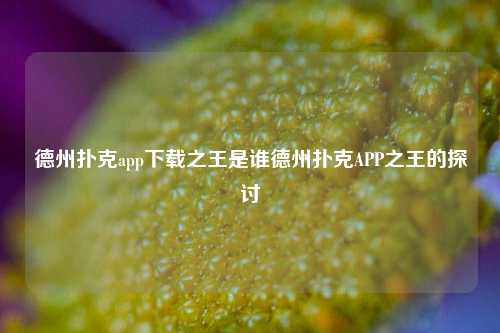 德州扑克app下载之王是谁德州扑克APP之王的探讨