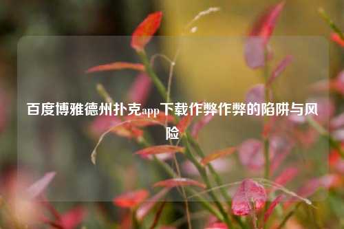 百度博雅德州扑克app下载作弊作弊的陷阱与风险