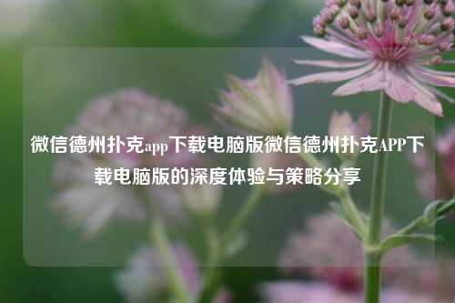微信德州扑克app下载电脑版微信德州扑克APP下载电脑版的深度体验与策略分享