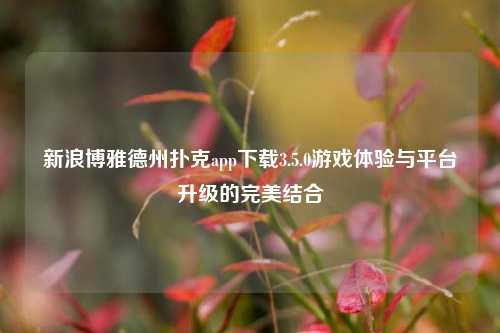 新浪博雅德州扑克app下载3.5.0游戏体验与平台升级的完美结合