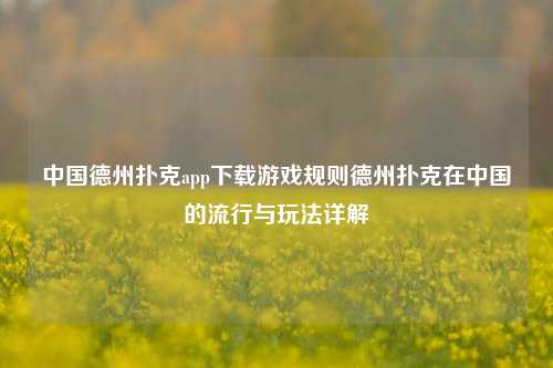 中国德州扑克app下载游戏规则德州扑克在中国的流行与玩法详解
