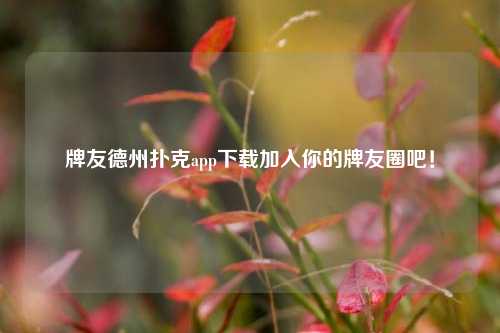 牌友德州扑克app下载加入你的牌友圈吧！