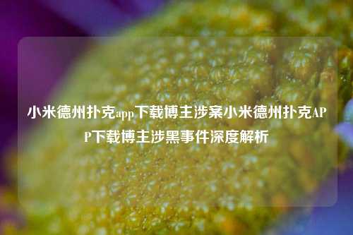 小米德州扑克app下载博主涉案小米德州扑克APP下载博主涉黑事件深度解析