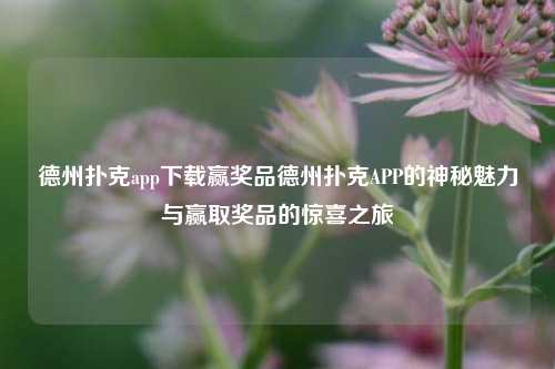 德州扑克app下载赢奖品德州扑克APP的神秘魅力与赢取奖品的惊喜之旅