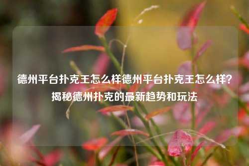 德州平台扑克王怎么样德州平台扑克王怎么样？揭秘德州扑克的最新趋势和玩法