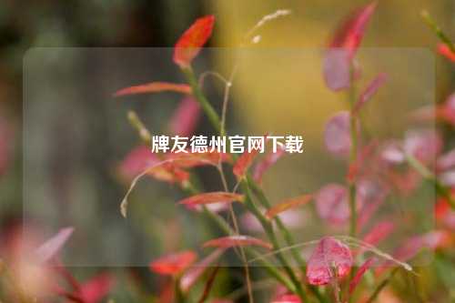 牌友德州官网下载