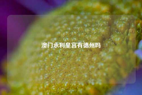 澳门永利皇宫有德州吗