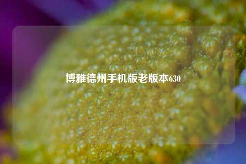 博雅德州手机版老版本630