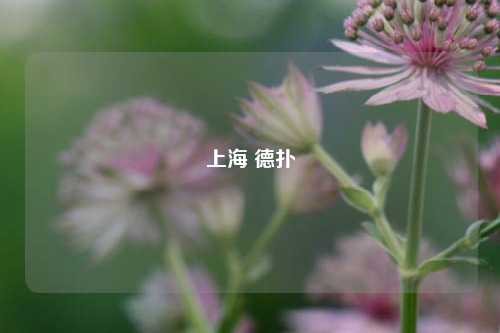 上海 德扑