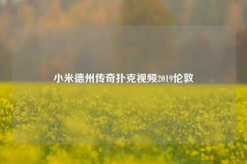 小米德州传奇扑克视频2019伦敦