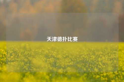 天津德扑比赛