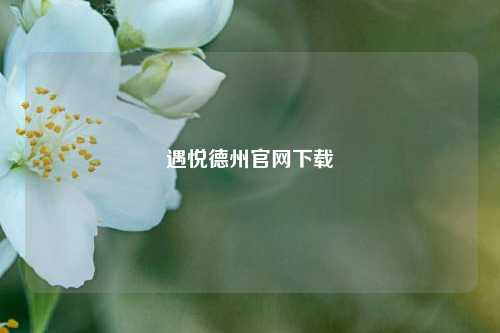 遇悦德州官网下载