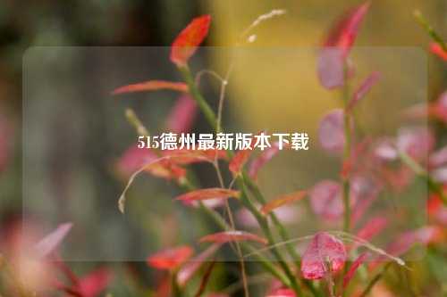 515德州最新版本下载