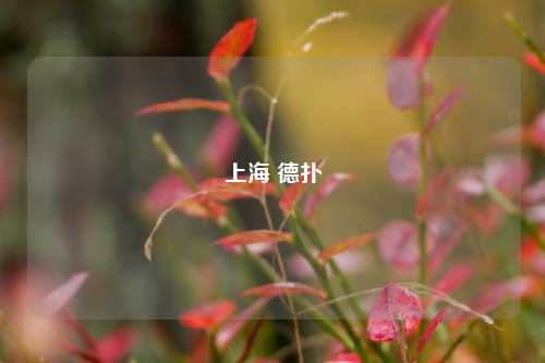 上海 德扑
