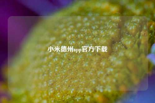 小米德州app官方下载