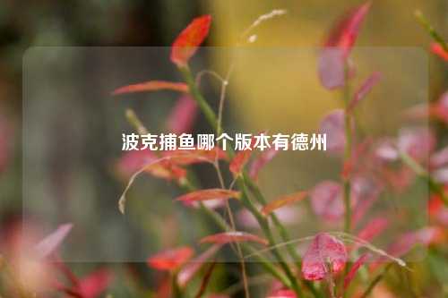 波克捕鱼哪个版本有德州
