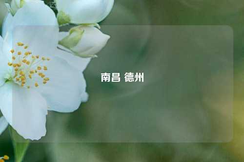 南昌 德州