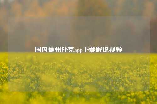 国内德州扑克app下载解说视频