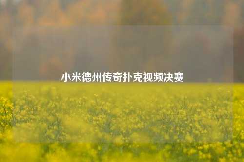小米德州传奇扑克视频决赛