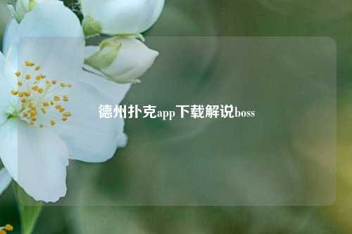 德州扑克app下载解说boss