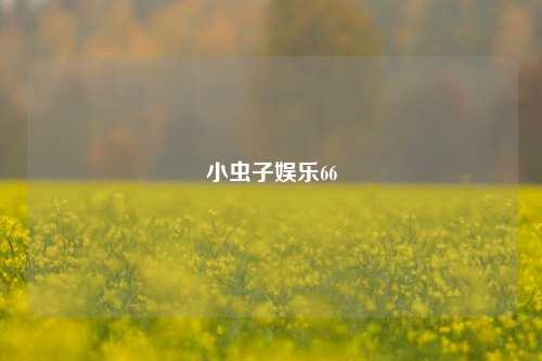 小虫子娱乐66