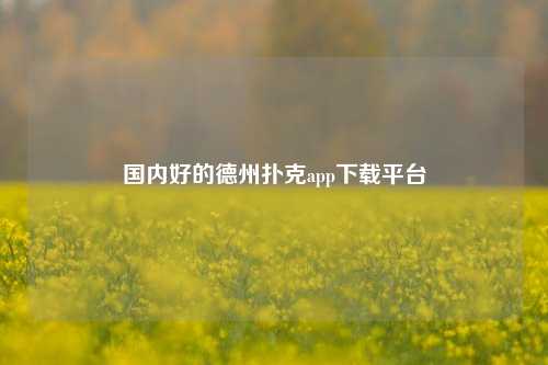 国内好的德州扑克app下载平台