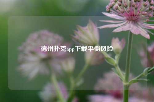 德州扑克app下载平衡风险