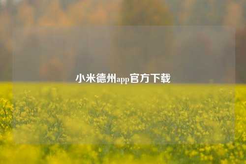 小米德州app官方下载