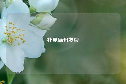 扑克德州发牌