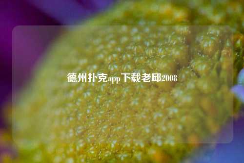 德州扑克app下载老邱2008