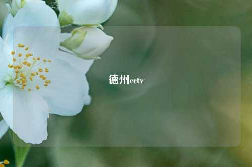 德州cctv