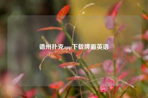 德州扑克app下载牌面英语