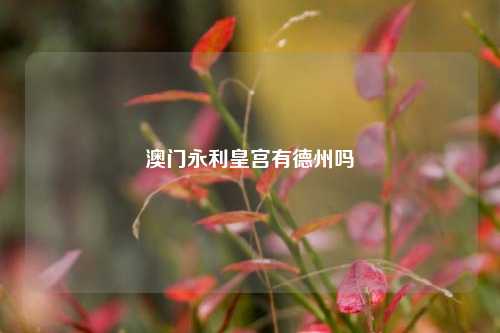 澳门永利皇宫有德州吗