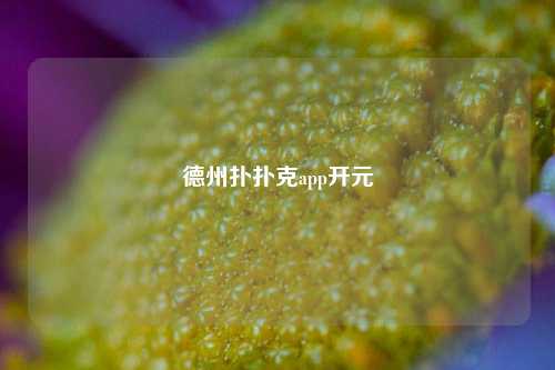 德州扑扑克app开元