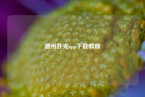 德州扑克app下载教程
