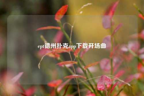 ept德州扑克app下载开场曲