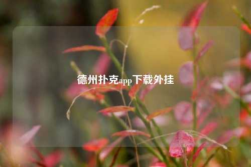 德州扑克app下载外挂