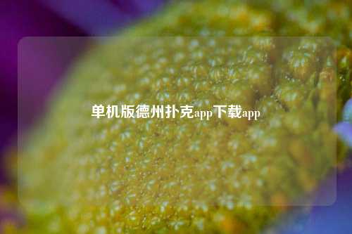 单机版德州扑克app下载app