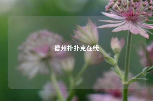 德州扑扑克在线