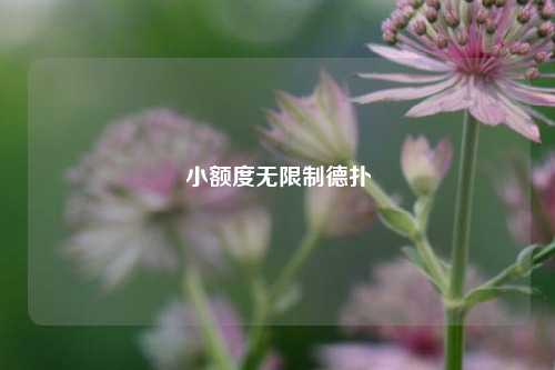 小额度无限制德扑